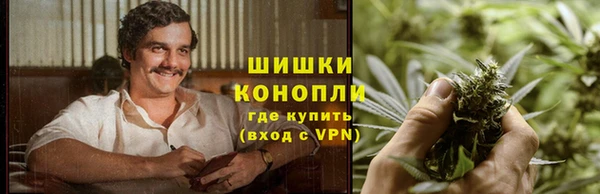 гашик Инта