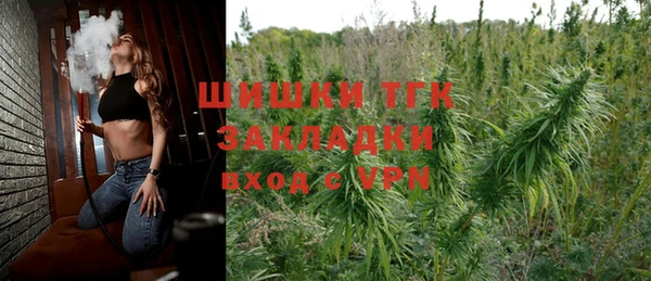гашик Богданович