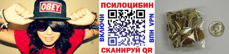 как найти наркотики  Мещовск  Псилоцибиновые грибы MAGIC MUSHROOMS 